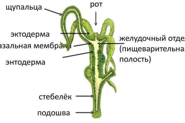 Настоящий сайт blacksprut