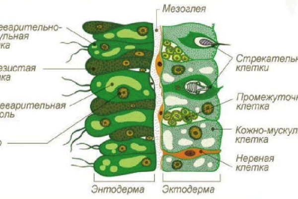 Ссылка на сайт блэкспрут тор